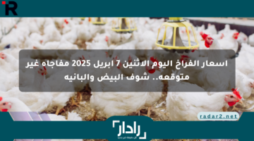 أسعار الفراخ اليوم الإثنين 7 أبريل 2025 مفاجأة غير متوقعة.. شوف البيض والبانية